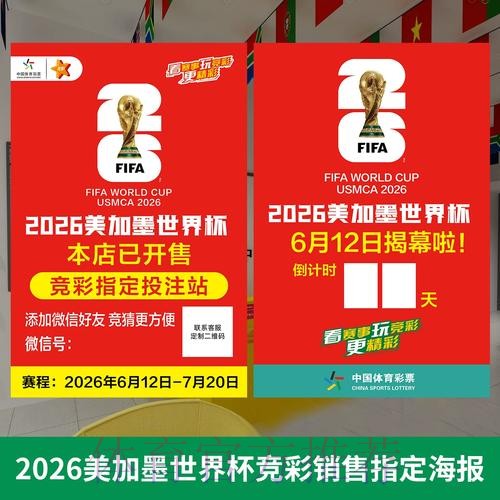 世界杯投注要点与正规入口指南的深度解读